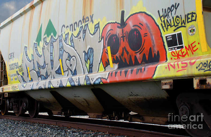 Graffiti On The Rails 8 Photograph by Bob Christopher