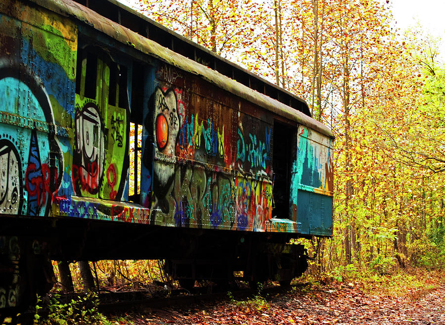 Graffiti Train Car Photograph by Elsa Santoro