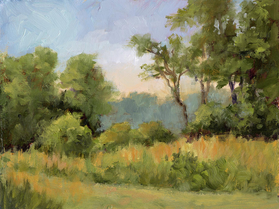 Summer Painting - Grailville View by Mary Jean Weber