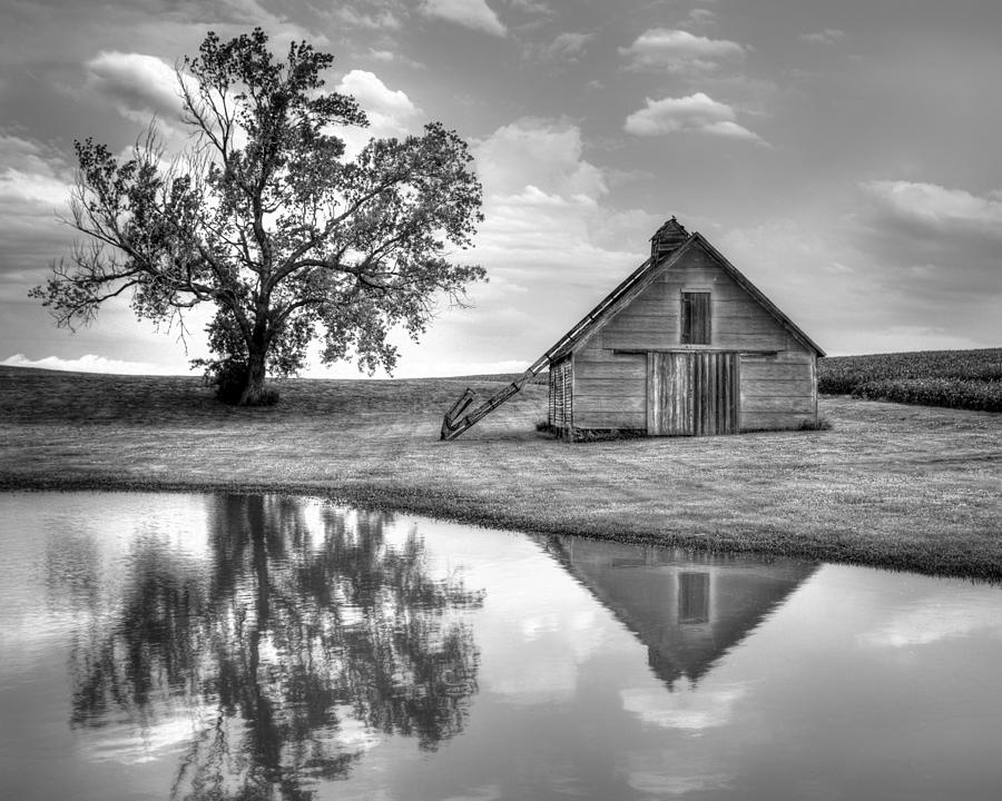 Barn Photograph - Grain Barn - Lone Tree by Nikolyn McDonald