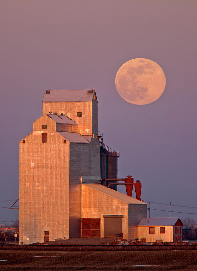 Grain Elevator Full Moon Photograph by Mark Duffy
