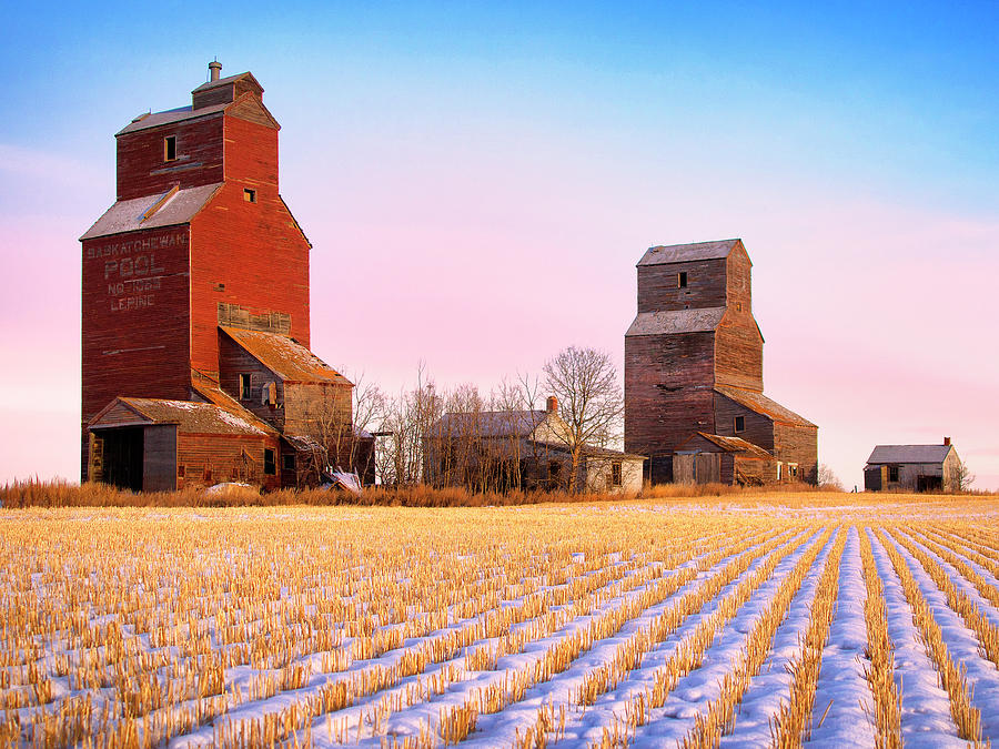 Grain Elevators Canadian Prairie Photograph by Dominic Piperata