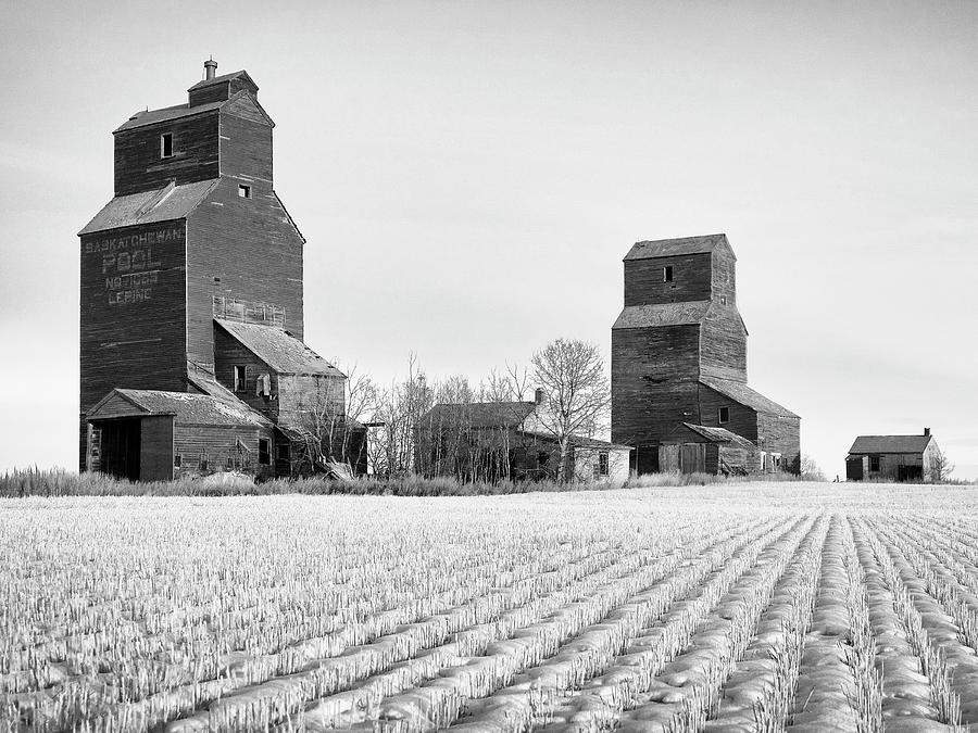 Grain Elevators Winter Prairie Photograph by Dominic Piperata