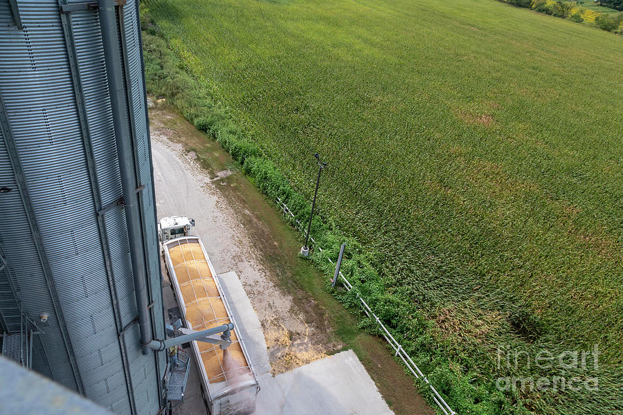 Grain Storage Silo by Jim West/science Photo Library