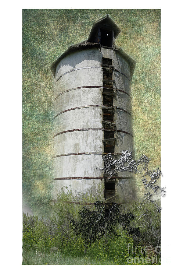 Grain tower Digital Art by Deb Nakano