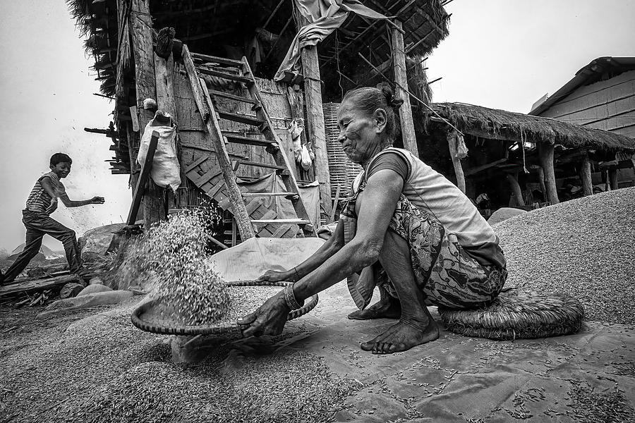 People Photograph - Grain Works by Ali Khataw