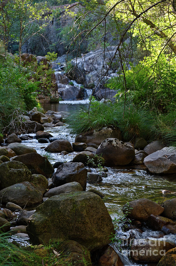 Gralheira river during afternoon by Angelo DeVal Gralheira river during afternoon by Angelo DeVal
