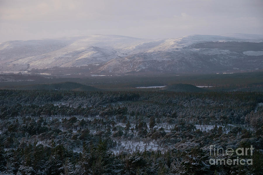 Grampian Mountains Scottish Highlands Photograph