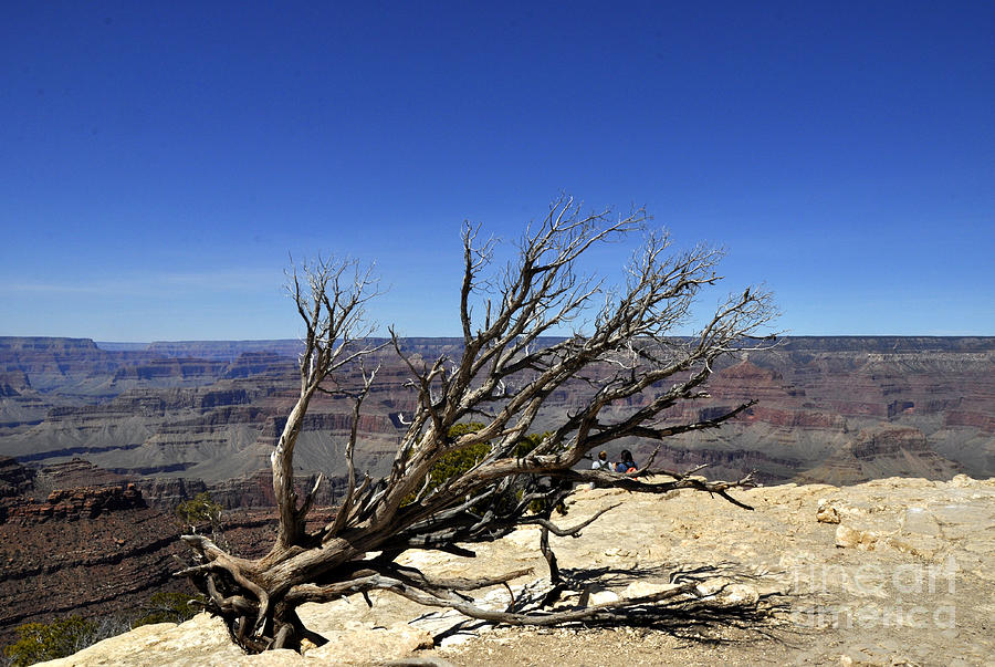 Grand Canyon 03 Photograph