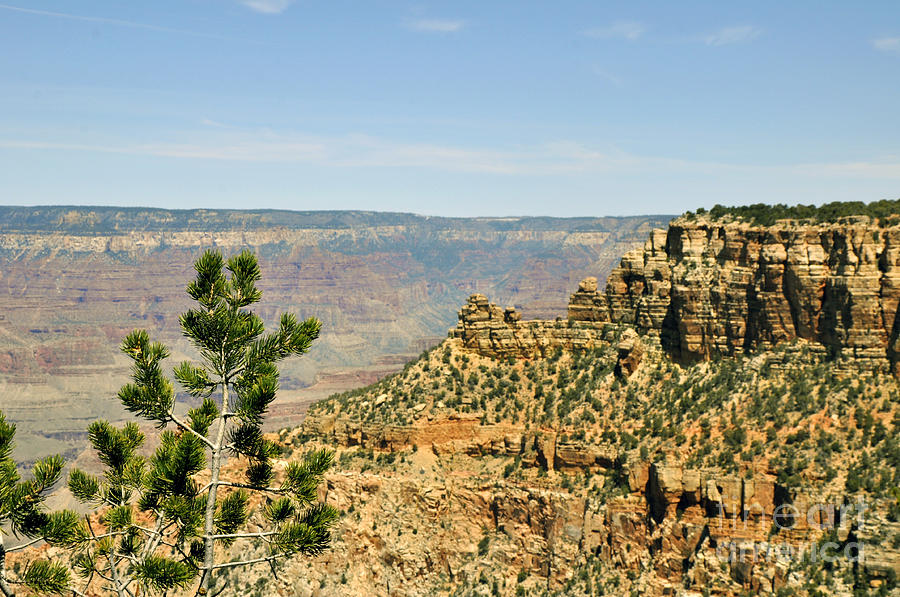 Grand Canyon 08 Photograph