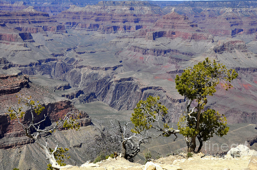 Grand Canyon 15 Photograph