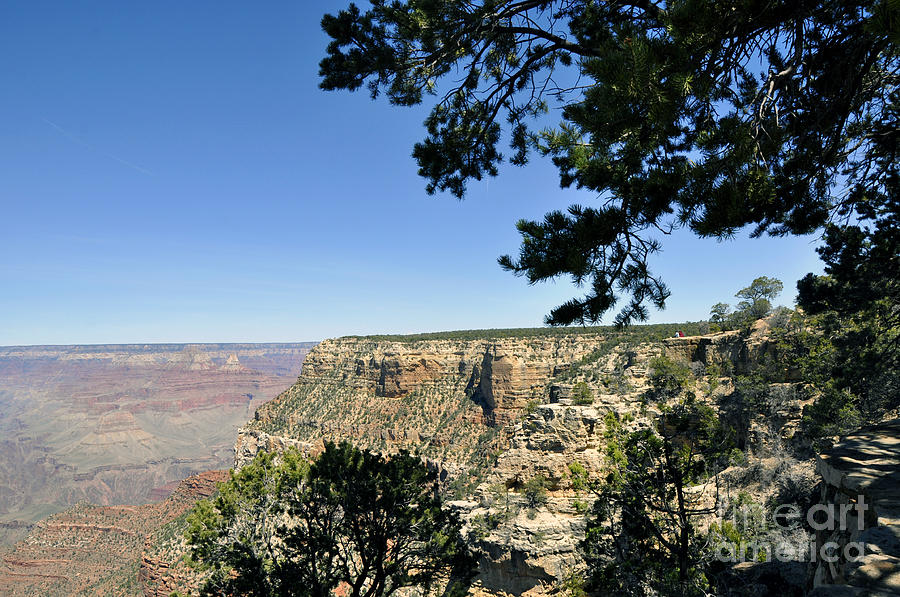 Grand Canyon 18 Photograph