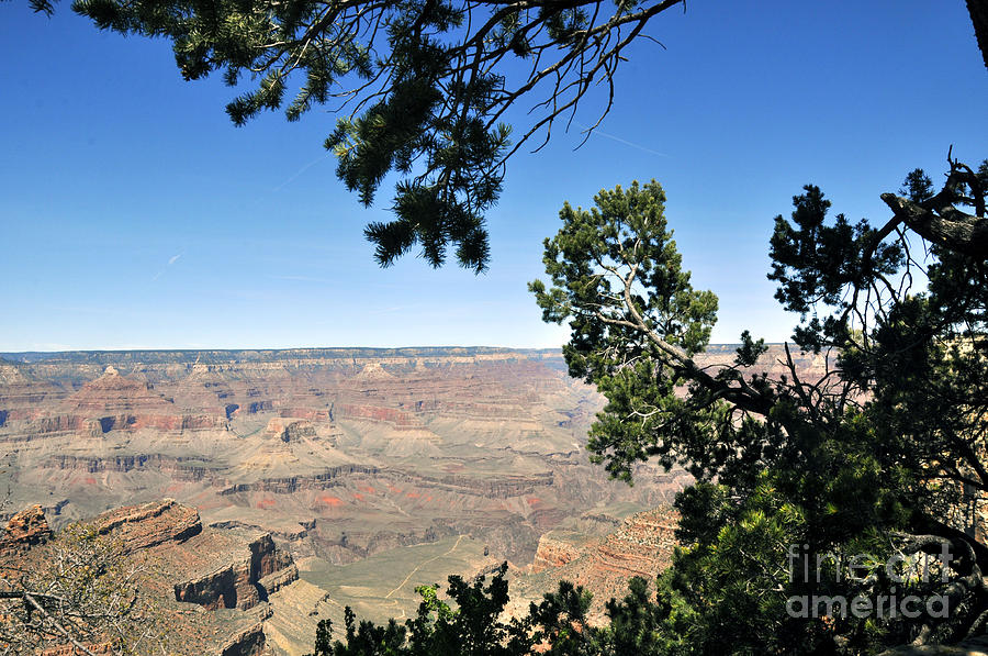 Grand Canyon 19 Photograph