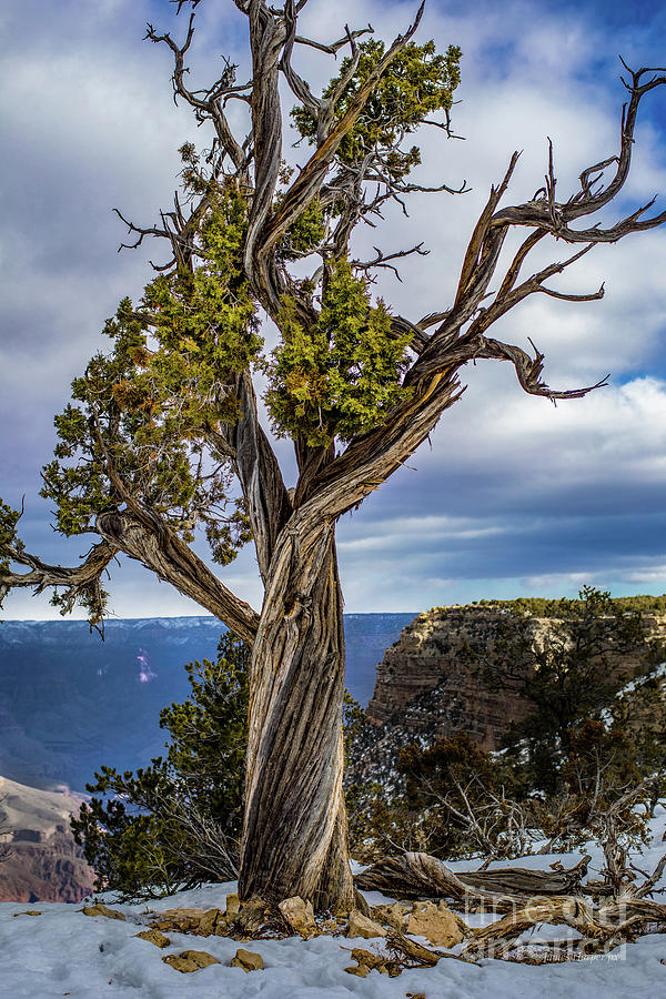 Grand Canyon 5768 by James Harper Grand Canyon 5768 by James Harper