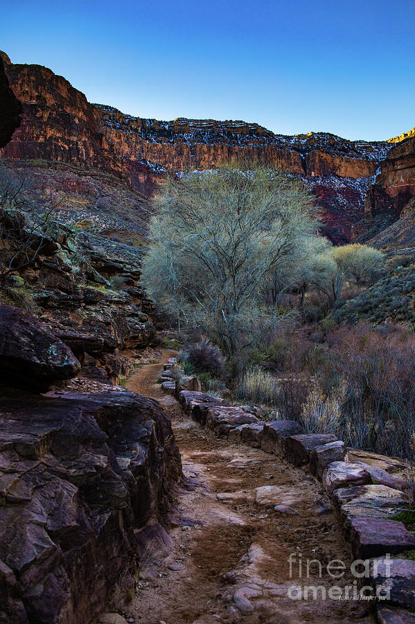 Grand Canyon 6639 by James Harper Grand Canyon 6639 by James Harper