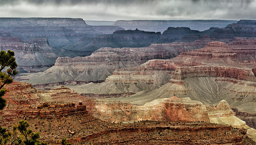 Grand Canyon Before The Storm Photograph by Robert Woodward