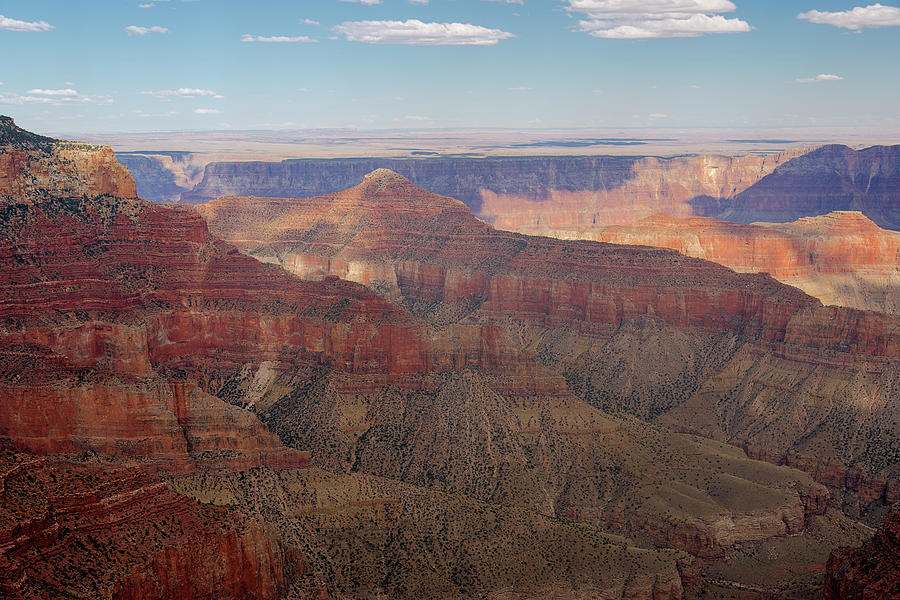 Grand Canyon Cape Royale Photograph by Michael Venturino - Pixels