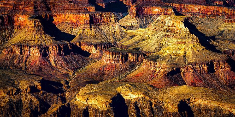 Grand Canyon Photograph by Dieter Walther