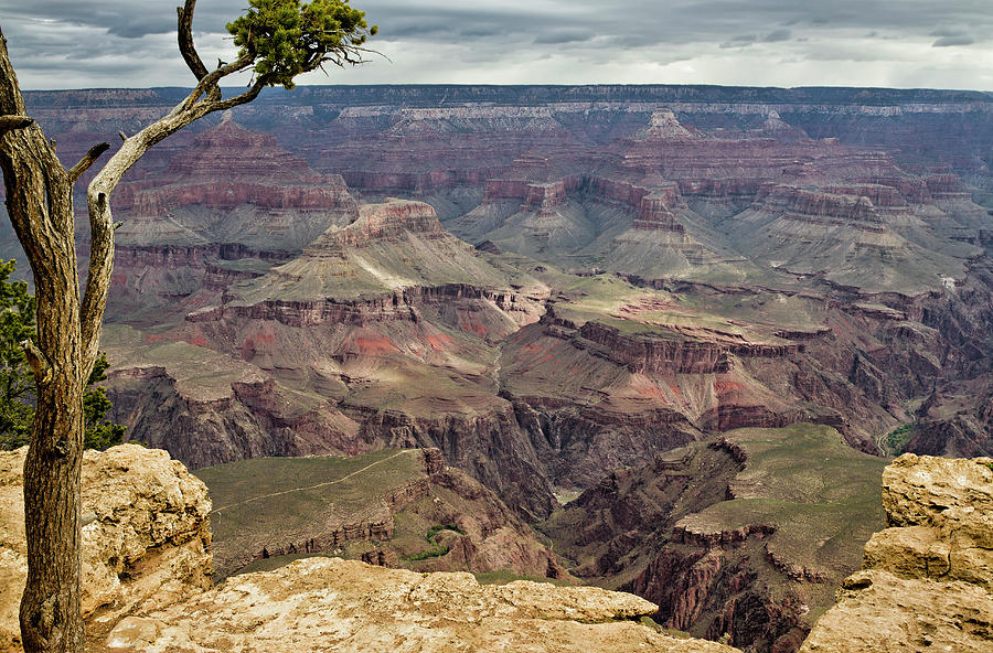 Grand Canyon Edge Photograph by Robert Woodward