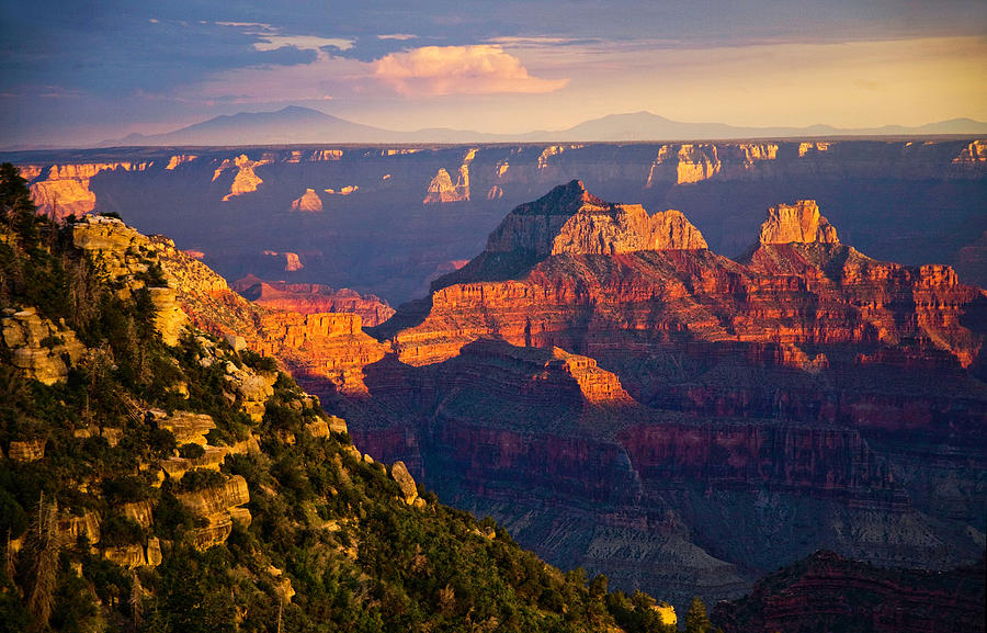 Grand Canyon From North Rim by David Epperson