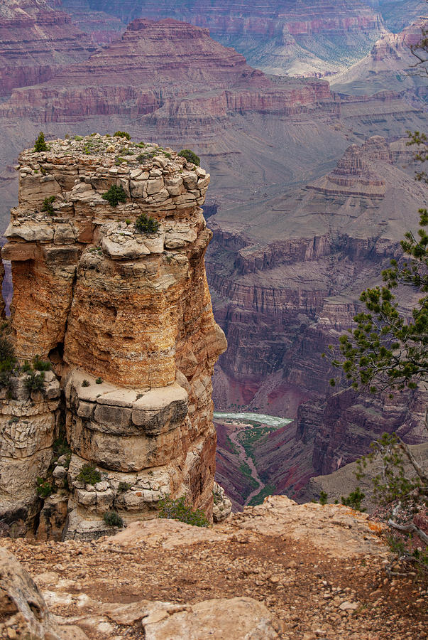 Grand Canyon Digital Art by Gary Grayson