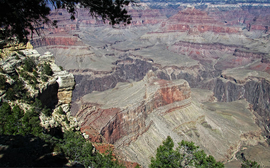 Grand Canyon in Autumn Photograph by KATIE Vigil