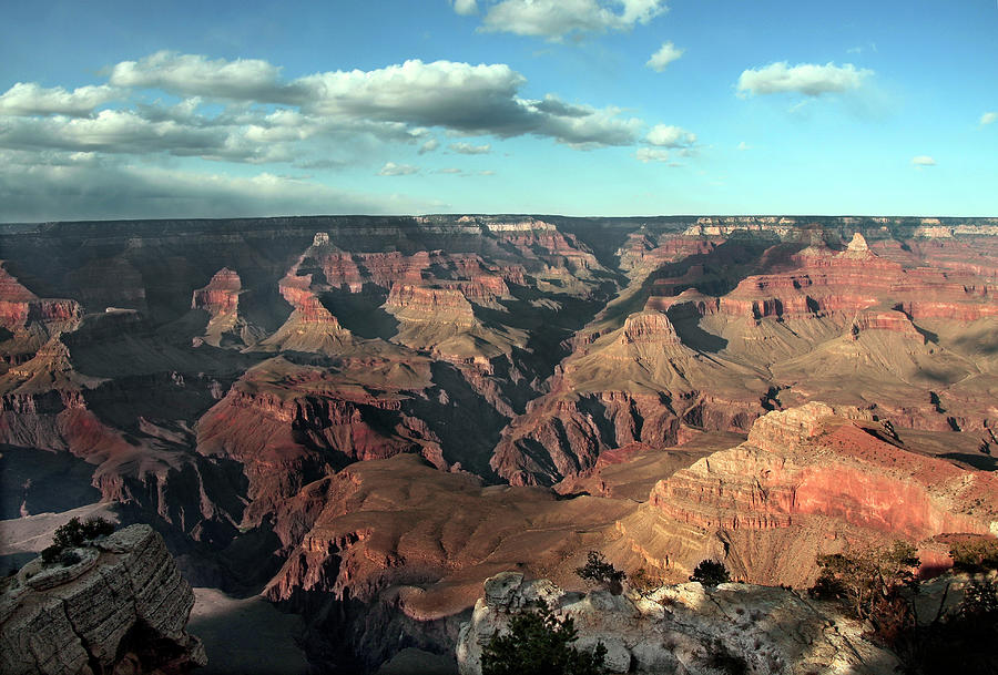 Grand Canyon In Usa by Nav Preet Amole