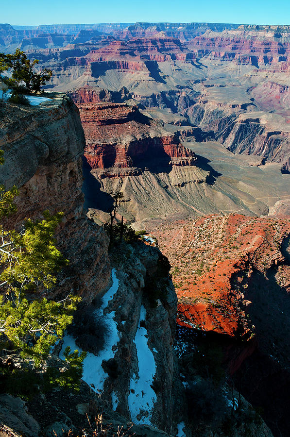 Grand Canyon Lipan Point Photograph by Jacobh