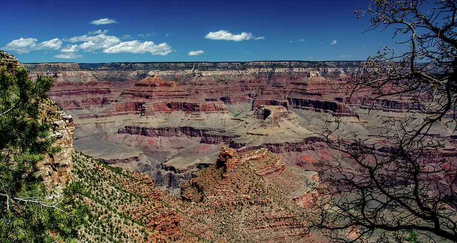 Grand Canyon Photograph by Marcy Wielfaert