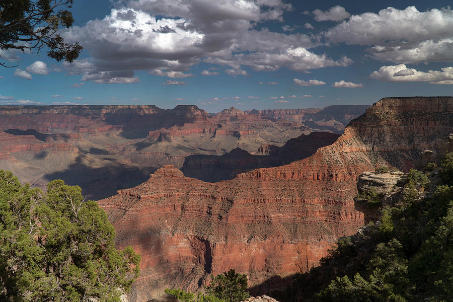 Grand Canyon Photograph by Mark Langford