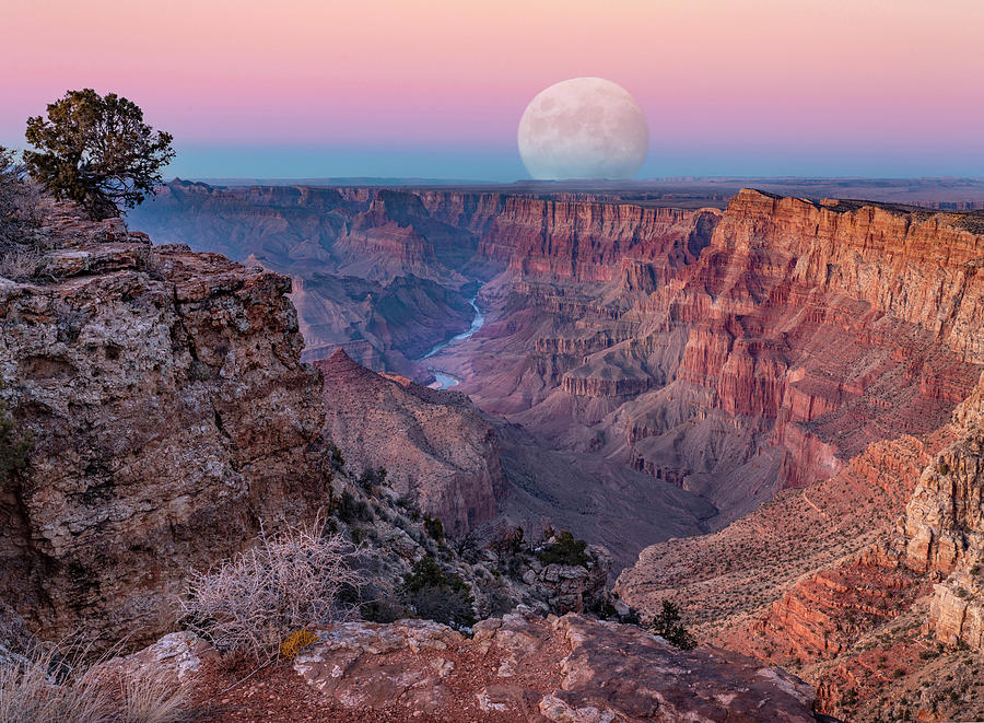 Grand Canyon Moonrise Photograph by Tim Fitzharris