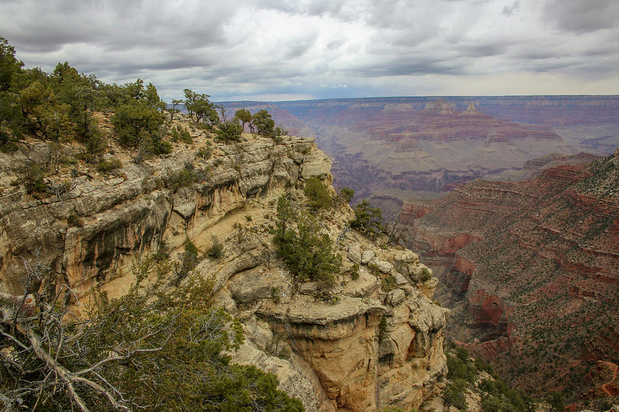 Grand Canyon National Park Photograph by Laura Smith