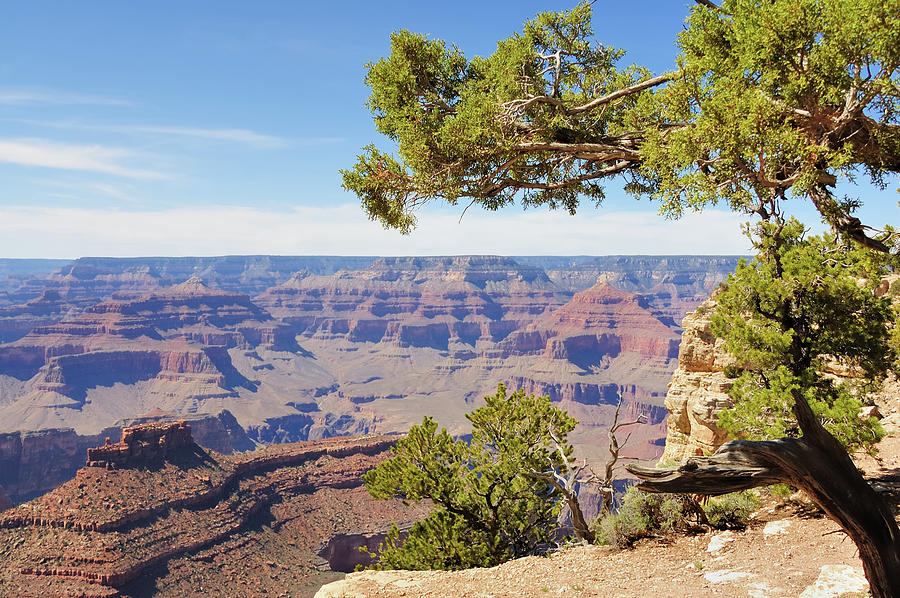 Grand Canyon National Park Photograph by Rivernorthphotography
