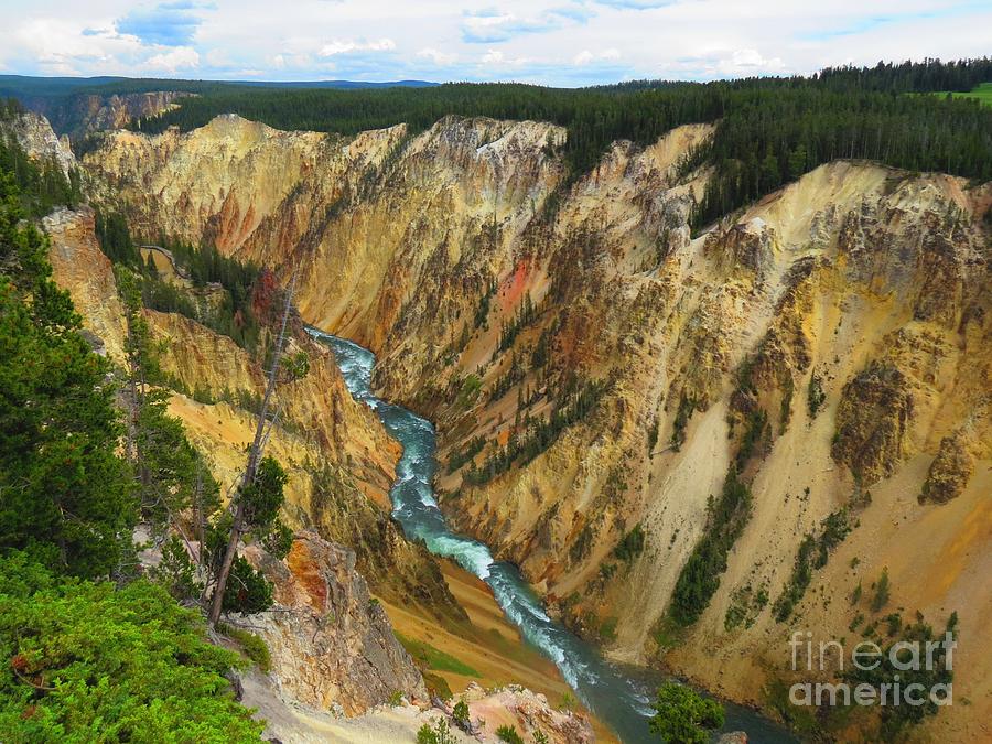 Grand Canyon of the Yellowstone Photograph by Aimee Mouw