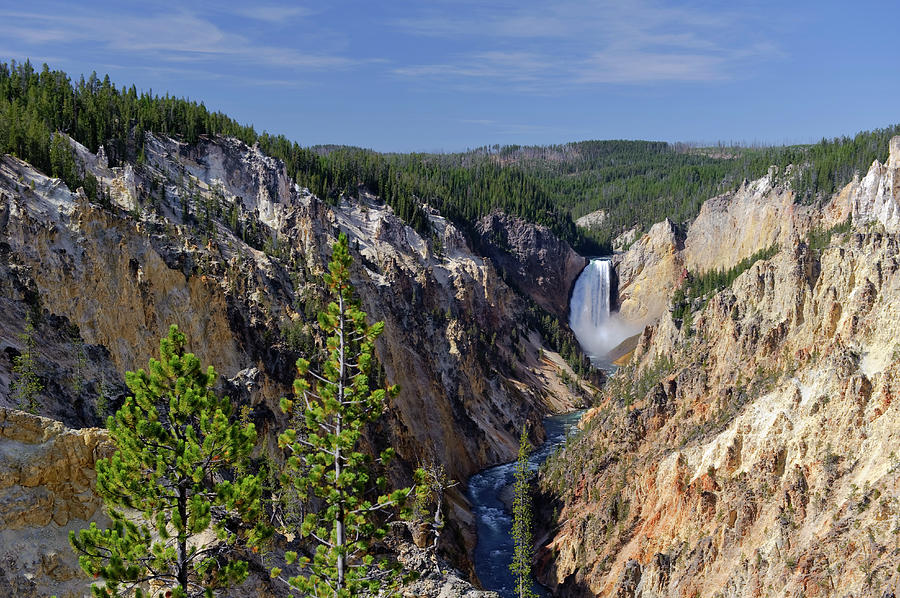 Grand Canyon Of The Yellowstone And Photograph by Michele Falzone
