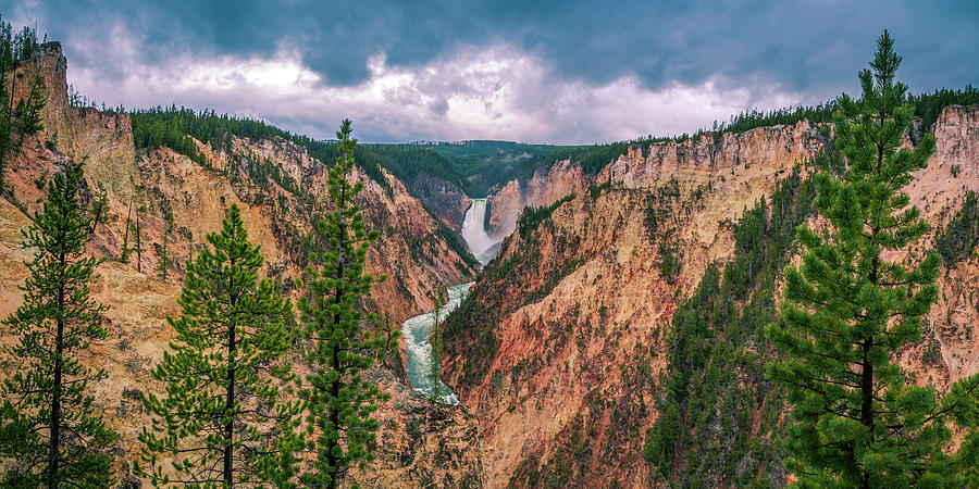 Grand Canyon of the Yellowstone Photograph by ProPeak Photography