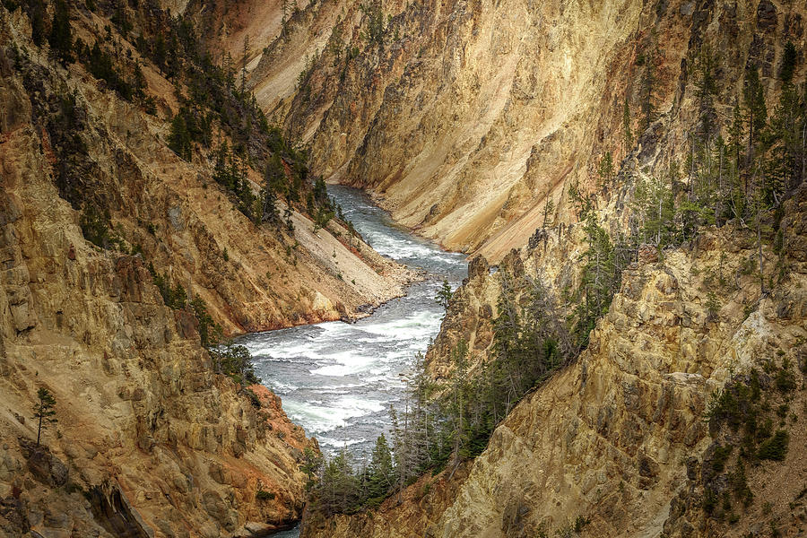 Grand Canyon of the Yellowstone Photograph by Rod Gimenez