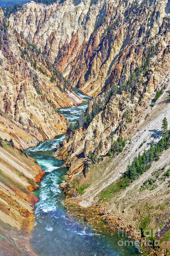 Yellowstone National Park Photograph - Grand Canyon of Yellowstone by Delphimages Photo Creations