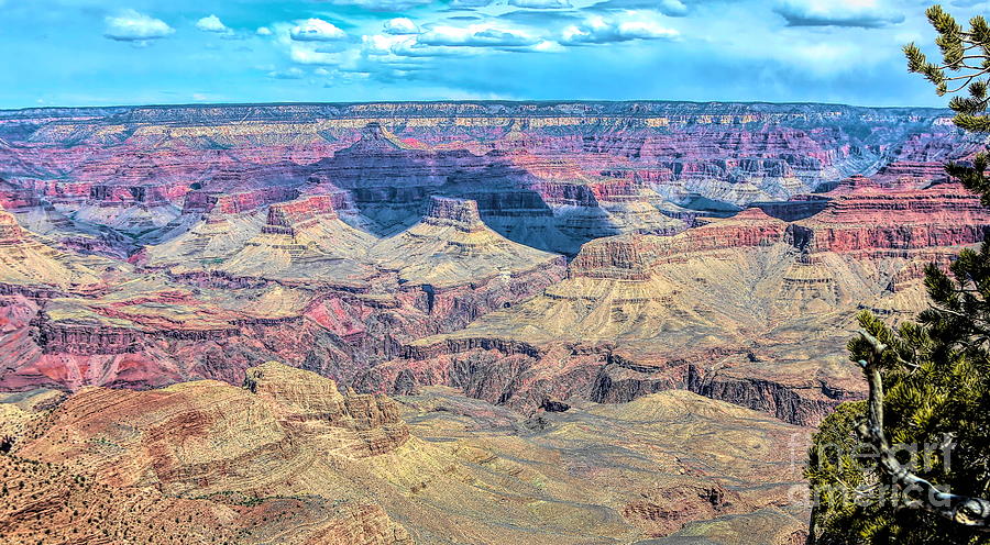 Grand Canyon Pano View  Photograph by Chuck Kuhn