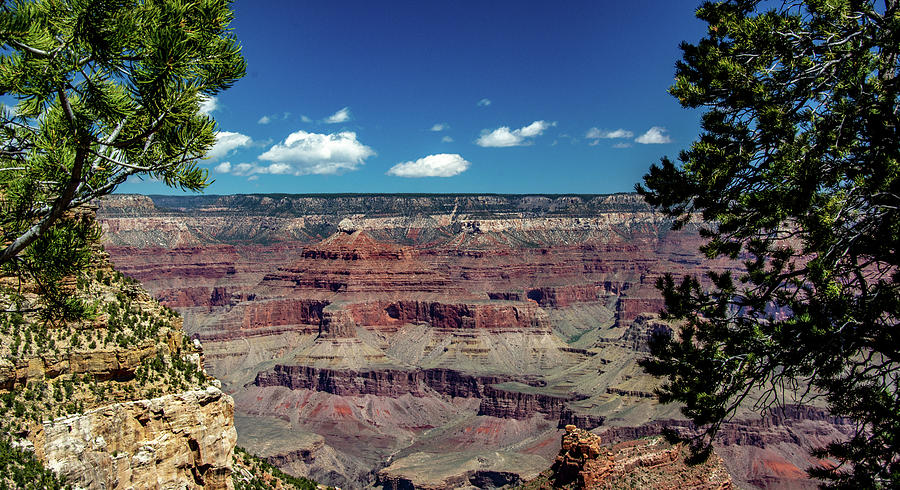 Grand Canyon Peek Photograph by Marcy Wielfaert