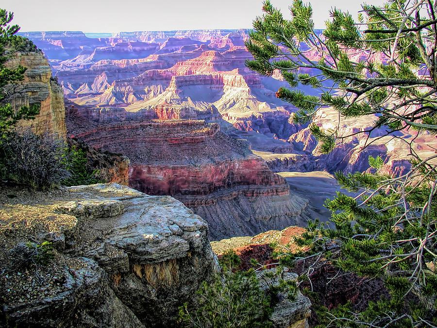 Grand Canyon Scene 5 by PAUL COCO Grand Canyon Scene 5 by PAUL COCO