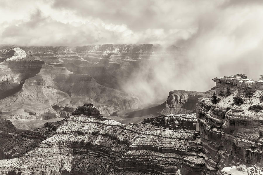 Grand Canyon Sepia Photograph by Jonathan Nguyen