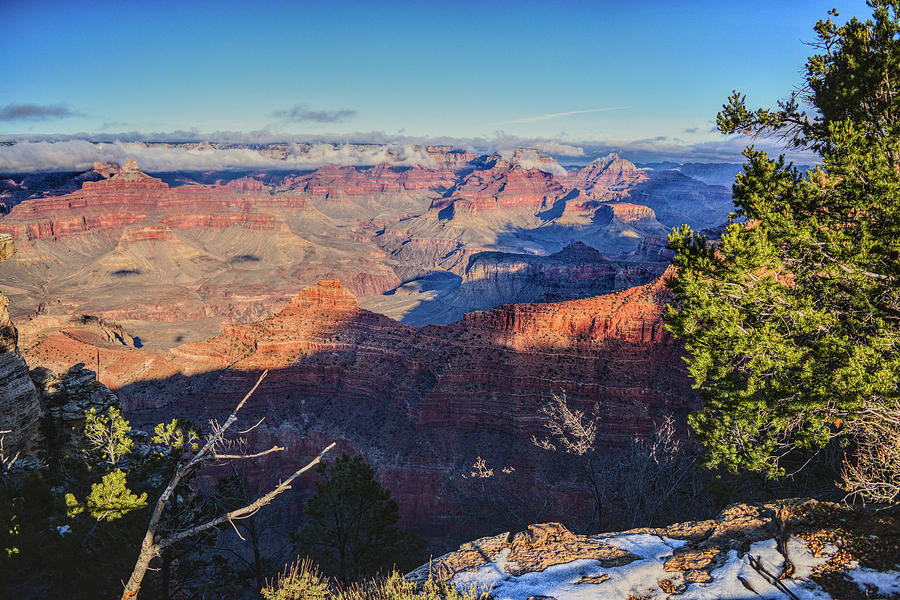 Grand Canyon Snow on Ground Photograph by Chance Kafka