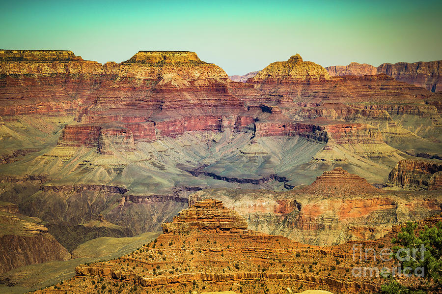 Grand Canyon South Rim #2 Photograph by Blake Webster