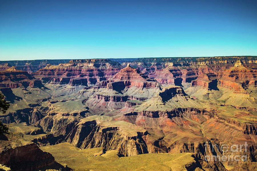 Grand Canyon South Rim #5 Photograph by Blake Webster