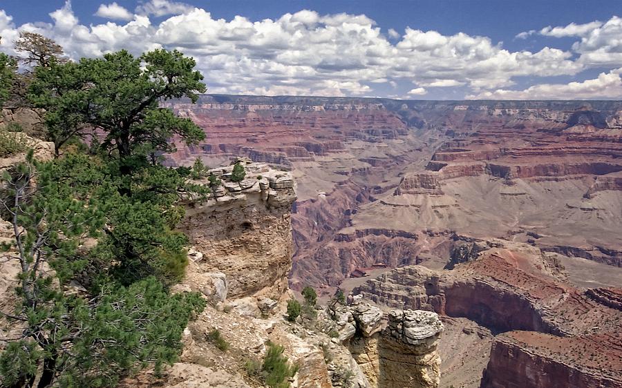 Grand Canyon South Rim View Photograph by Scott Kingery