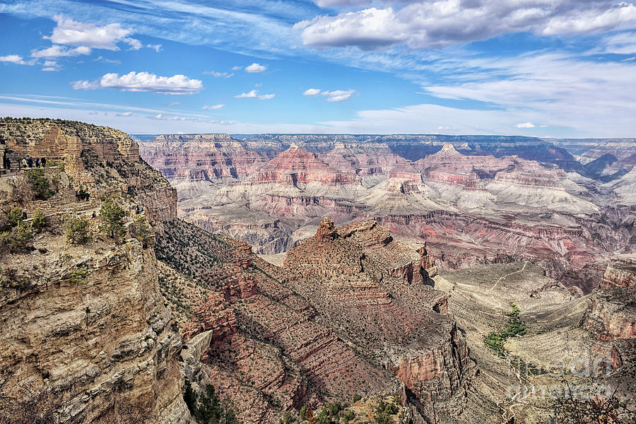 Grand Canyon South Rim Vista Photograph