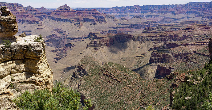 Grand Canyon Southern Rim Photograph by Anthony Giammarino