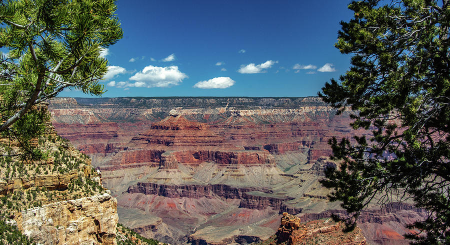 Grand Canyon Splendor Photograph by Marcy Wielfaert