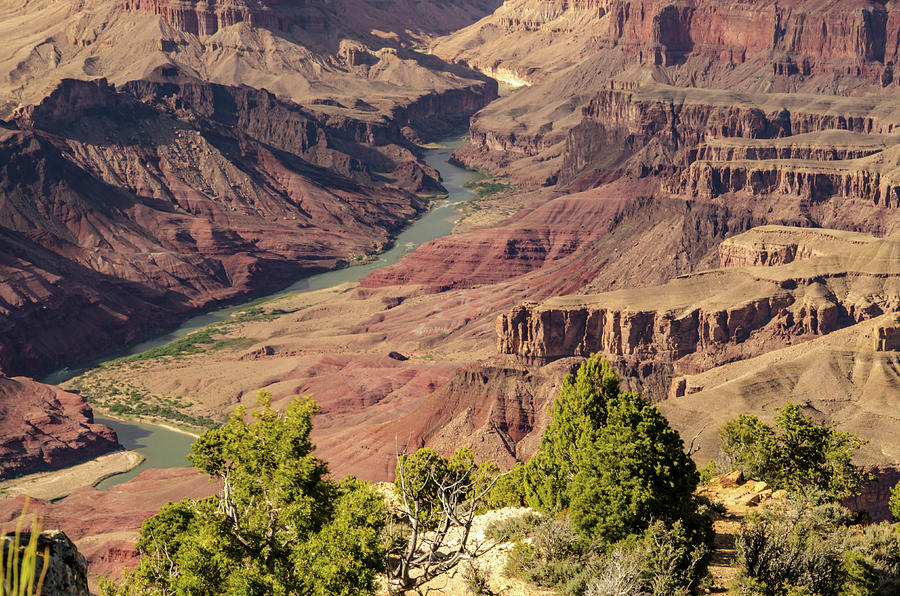 Grand Canyon Springtime Photograph by Douglas Wielfaert
